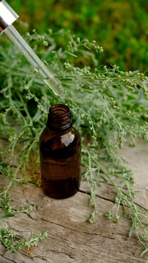 Sagebrush tincture and supplements. Selective focus. Stock Footage 315523287
