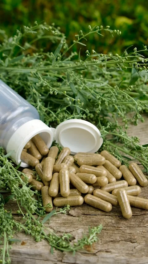 Sagebrush tincture and supplements. Selective focus. Stock Footage 315932811