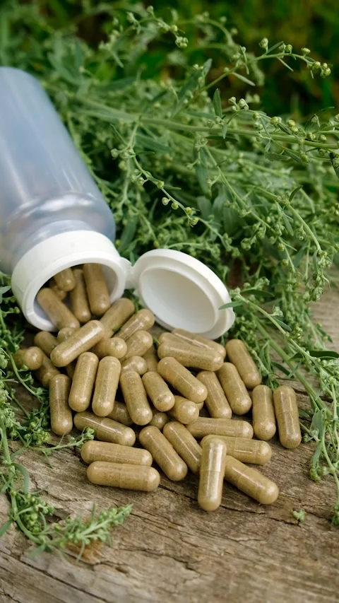 Sagebrush tincture and supplements. Selective focus. Stock Footage 316586395