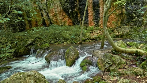 Sagittario river flows fast between rocks and woods near the Cavuto Springs Stock Footage 246034750