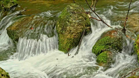 Sagittario river flows fast between rocks and woods near the Cavuto Springs Stock Footage 246034753