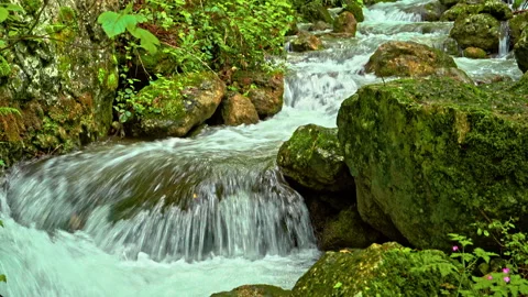 Sagittario river flows fast between rocks and woods near the Cavuto Springs Stock Footage 246035526