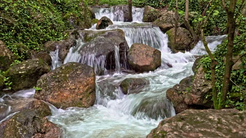 Sagittario river flows fast between rocks and woods near the Cavuto Springs Stock Footage 246035536