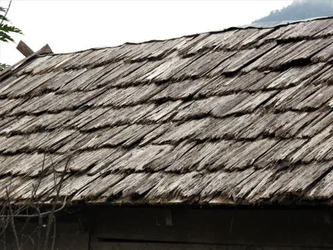 Sago-leaf roofed Photos