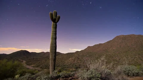 Saguaro Astro Timelapse Stock-Footage 24110347