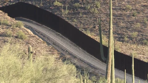 Saguaro Cactus and Border Wall United States U.S. Mexico Boundary Barrier Stock Footage 332244476