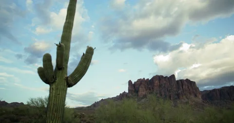 Saguaro cactus in front of the mountain 스톡 동영상 201078931