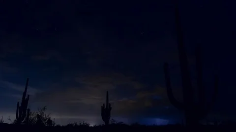Saguaro Cactus Lightning Storm 스톡 동영상 82915488