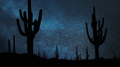 Saguaro Sactus Forest, Time Lapse by Night with Stars and Milky Way Stock Footage 157737801