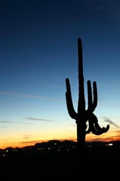 Saguaro Sunset Stock Photos