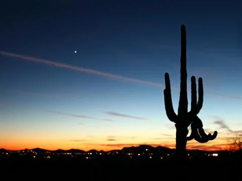 Saguaro Sunset Stock Photos