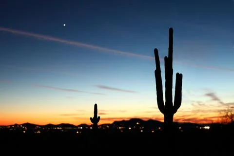 Saguaro Sunset Stock Photos