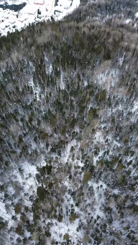 Saguenay, Québec Stock Footage 309513816