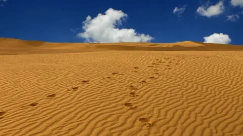 Sahara desert Stock Footage 24671190