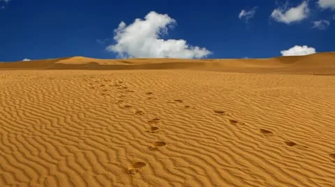 Sahara desert Stock Footage 24671200