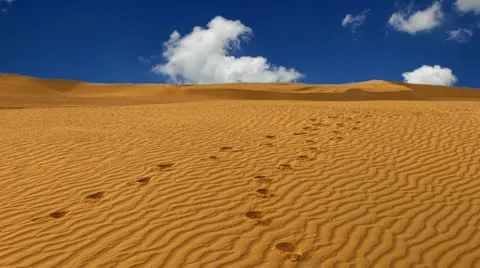 Sahara desert Stock Footage 24671255