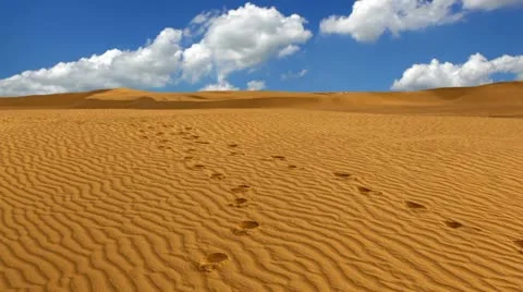 Sahara desert with a footprints Video stock 24671119