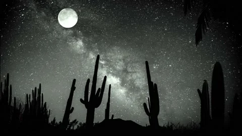 Sahara desert at night Stock Footage 235919081