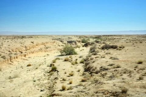 Sahara desert Stock Photos