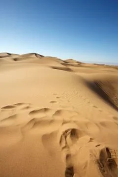 Sahara desert Stock Photos