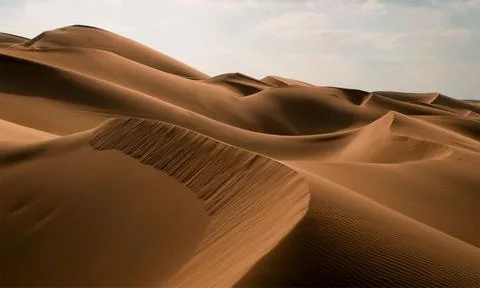 Sahara desert. Stock Photos
