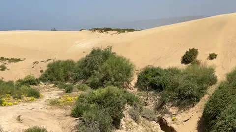 Sahara Stock Footage 333581007