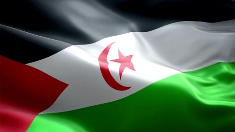 Sahra Stock Footage 116394963