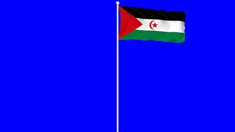 Sahrawi Arab Democratic Republic Flag Waving on Wind Loopable Green Blue Screen Stock Footage