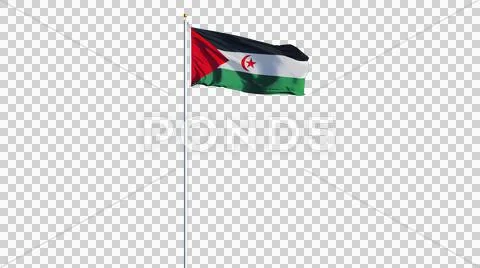 Sahrawi Arab Democratic Republic flag, long shot, isolated with alpha channel Stock Photos