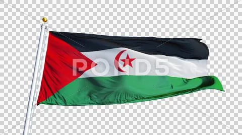 Sahrawi Arab Democratic Republic flag, close up, isolated with alpha channel Stock Photos