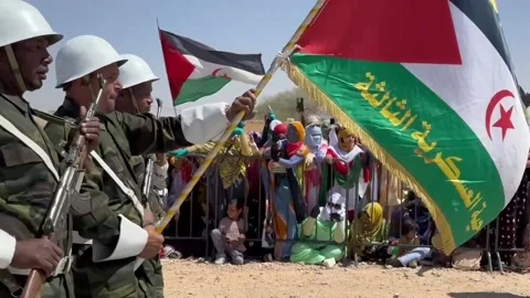Sahrawi Arab Democratic Republic marks its 50th anniversary with a parade in Aus Stock Footage 332365458
