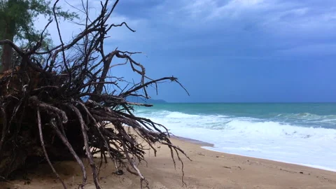 Sai Kaew Beach Stock Footage 139727156
