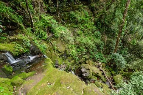 Sai Tip waterfall Stock Photos