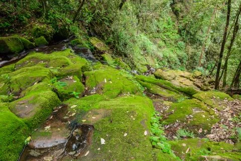 Sai Tip waterfall Stock Photos