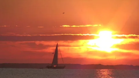 Saiboat @ Sunrise 스톡 동영상 538168