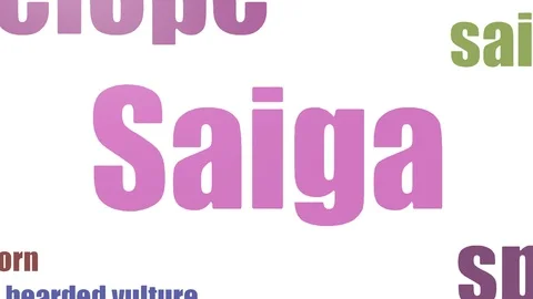 Saiga Wordcloud Animated Isolated Stock Footage 103092518