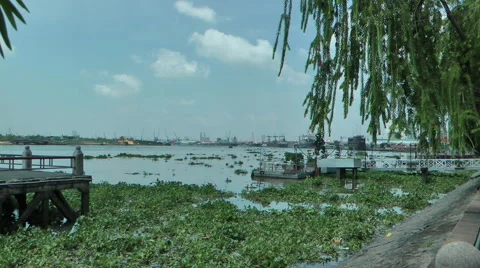 Saigon Harbour3 Video stock 41036503