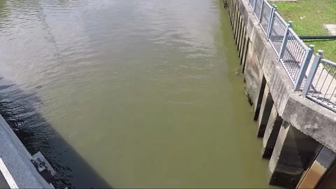 Saigon River, View From Bridge, Ho Chi Minh City, Vietnam 스톡 동영상 317911662