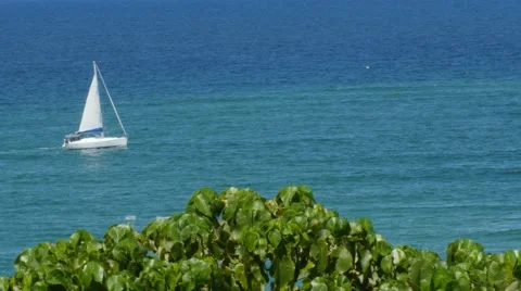 Sail Boat Stock Footage 68577888