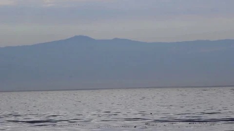 Sail Boat Video stock 71357830