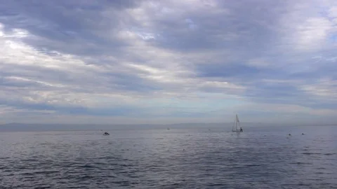 Sail Boat Stock Footage 71357884