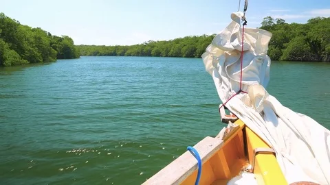 Sail Boat on a River Stock Footage 74166194