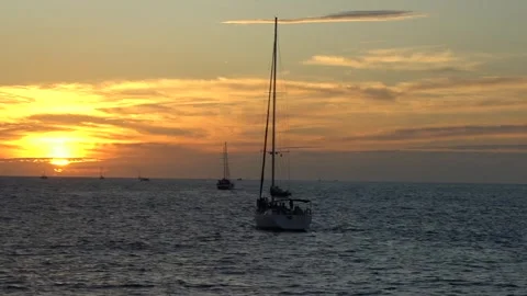 Sail boat sailing in the sunset covered ocean silhouette Stock Footage 248477313