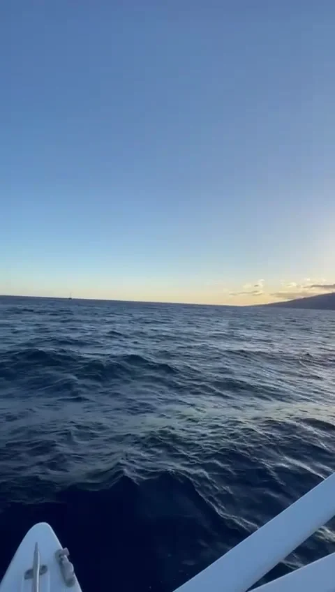 Sail Boat SD- Stock Footage 175445110