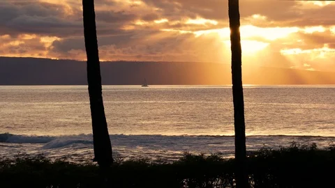 Sail Boat At Sunset Between Palm Trees Stock Footage 120478902