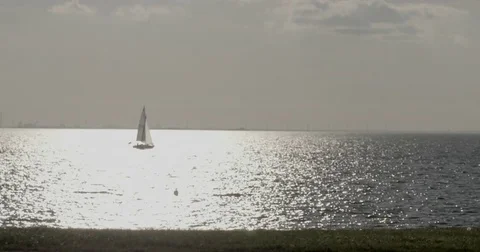 Sail boat in the sunset 스톡 동영상 78029615