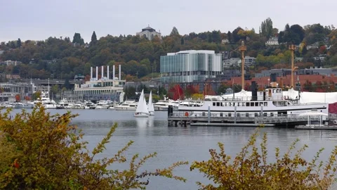 Sail boating, sea planes and Marina at Lake Washington in Seattle. Stock Footage 320760359