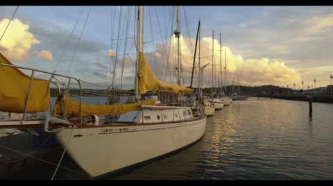 Sail boats in a dock Stock Footage 42900747