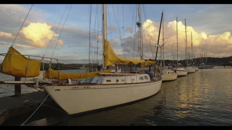 Sail boats in a dock Stock Footage 42901401