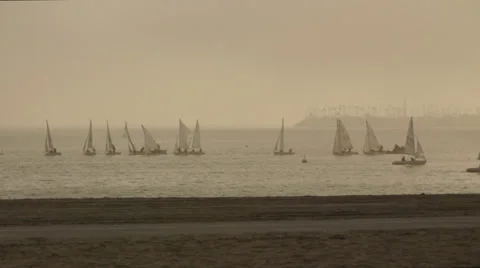 Sail Boats Stock Footage 36439045